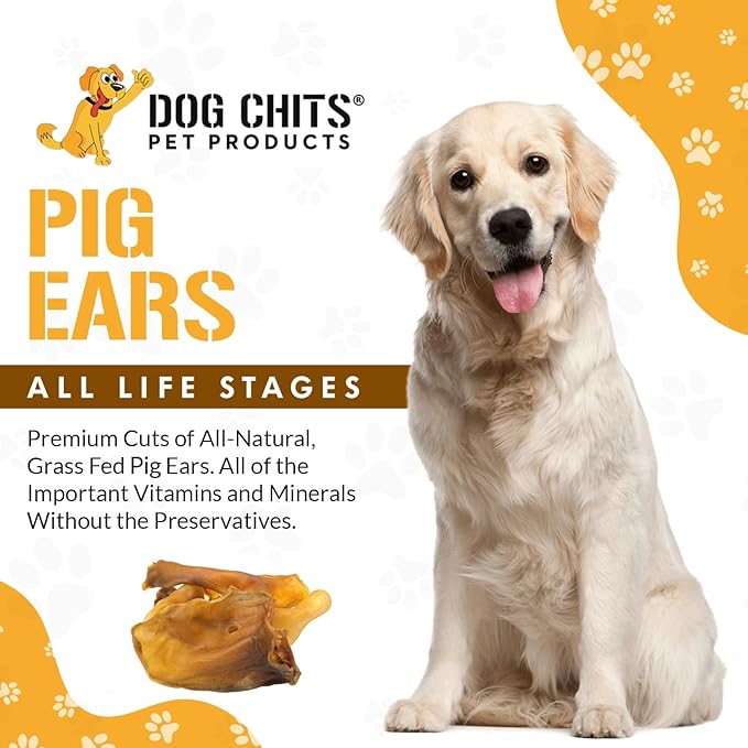Dog Chits Pig Ears Dog and Puppy Treats - All Natural Grain and Chemical Free Training Chews - High Protein and Low Fat - Supports Dental Health - Made in The USA - 15 Pack
