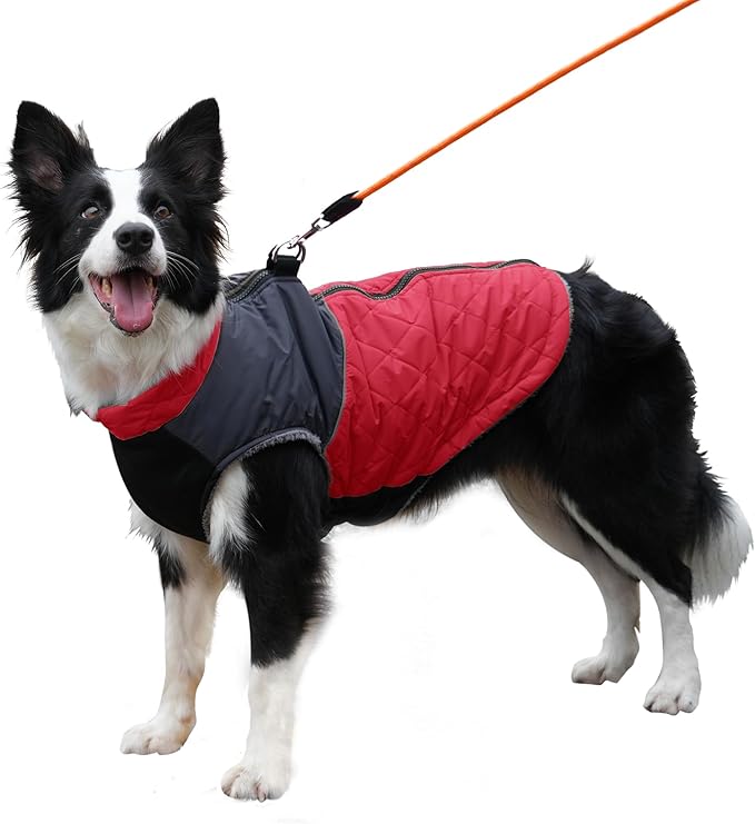 Warm Fleece Dog Coats for Medium Dogs,D-Rings Waterproof Puppy Jacket for Cold Winter,Red XL