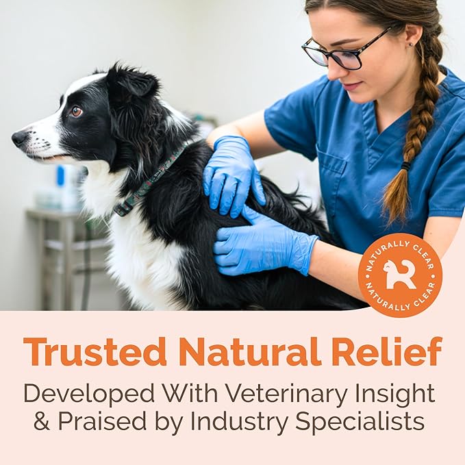 Hot Spot & Itch Relief Skin Cream for Dogs & Cats | Fast & Lasting Relief | Treats the Source | Natural Ingredients & Colloidal Silver | Vet-Recommended | Safe & Non-Toxic | Made in USA (2oz)