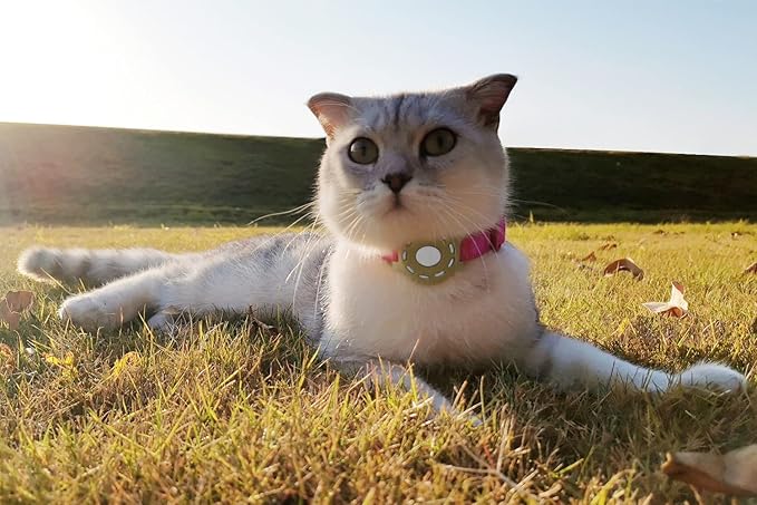 Airtag Holder for Cat, Air Tag Case for Cat Collar and Small Dog Collar