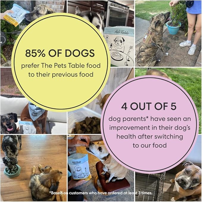 The Pets Table - Air Dried Dog Food Sampler 4 Pack - 16 Ounce Bags of Each: Beef & Berries, Chicken & Sweet Potato, Salmon & Whitefish, and Lamb & Beef - 16 Ounce (Pack of 4)