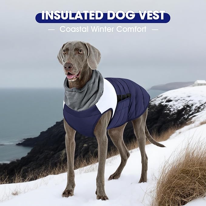 FUAMEY Winter Coat for Dogs Navy XS, Puppy Jacket Small Dogs Fast Dress for Outdoor Cold, Hook & Loop, Dressing Easy,(XS-Navy)