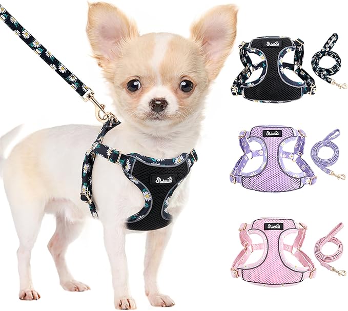 SlowTon Small Dog Harness - No Pull Dog Harness and Leash Set, Soft Mesh Lightweight Puppy Vest Harnesses, Adjustable Pet Harnesses for XXS XS Small Medium Easy Walk Hiking (Black, XS)