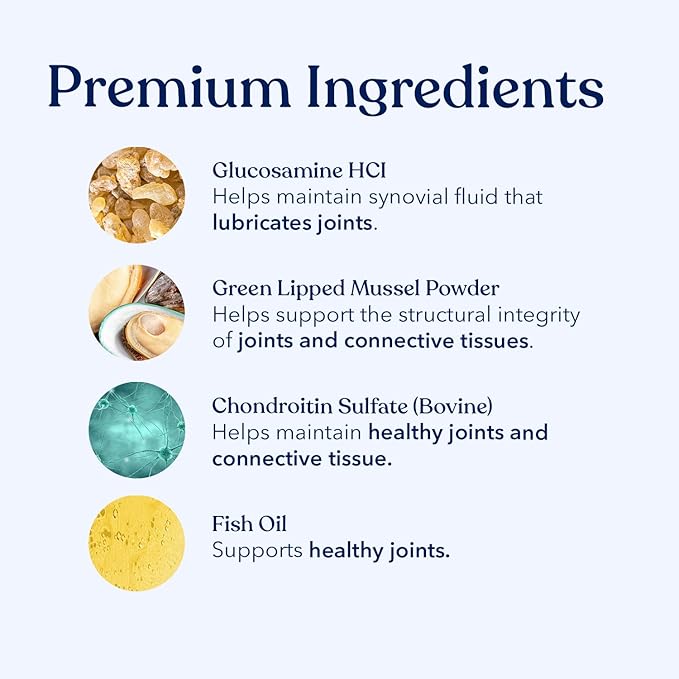 Honest Paws Joint Supplement for Dogs - Supports Mobility, Hip & Joint Health, Eases Stiffness - Glucosamine, Green Lipped Mussel, Fish Oil, Chondroitin Sulfate, MSM, Vitamin C