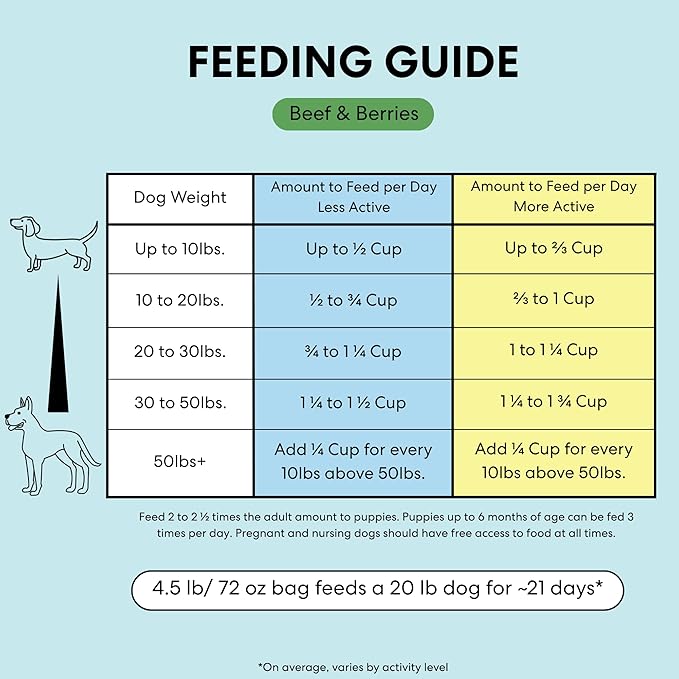 The Pets Table Air Dried Grain Free Dog Food for Dogs Large, Medium and Small | Puppy Dog Food, Adult Dog Food, Senior Dog Food | Beef & Berries 4.5 lbs / 72 oz Bag