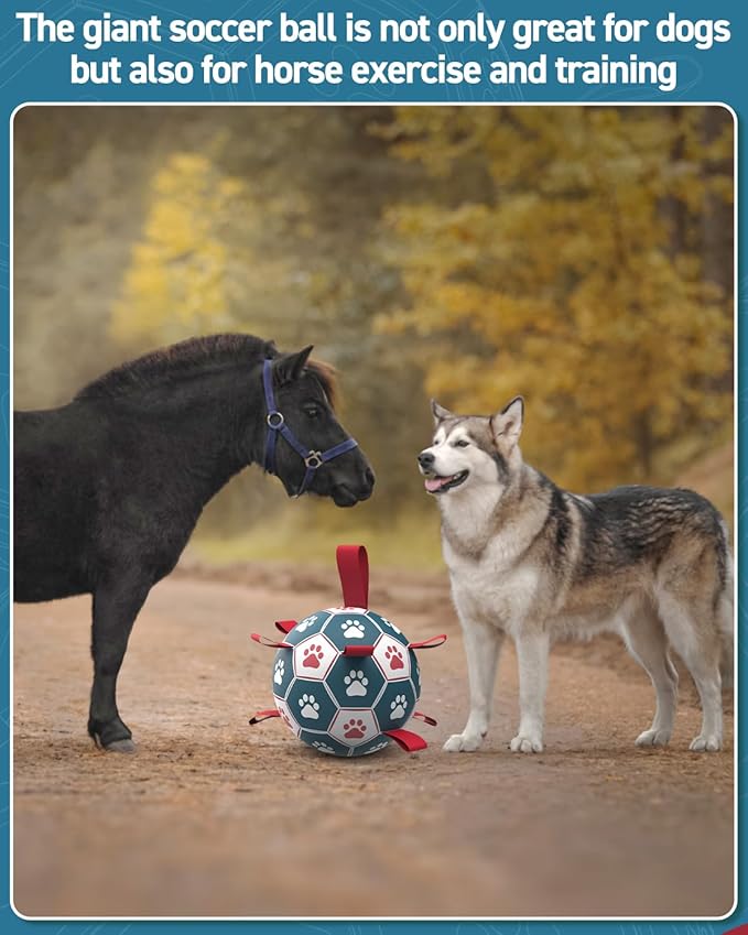 QDAN Dog Toys Soccer Ball with Straps, Durable Giant Dog Balls, Outdoor Dogs Toys, Herding Ball, Birthday Gifts (10 Inch)