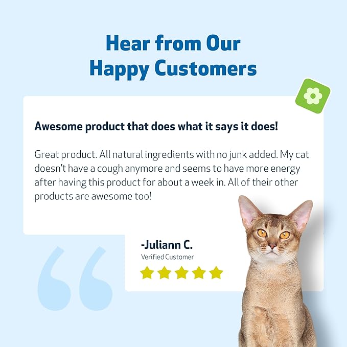 Pet Wellbeing Throat Gold for Cats - Cat Respiratory Support, Occasional Cough & Hoarseness, Licorice, Mullein, Slippery Elm - Vet-Formulated Holistic Supplement - 2oz (59 ml)