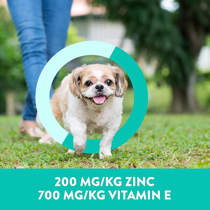 Dogswell Skin & Coat Mini Jerky Dog Treats, Salmon, 4 oz. Bag