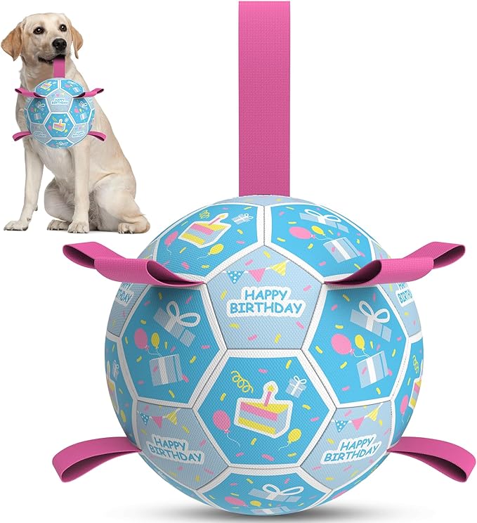QDAN Dog Birthday Toys, Soccer Ball for Dogs with Straps, Dog Ball Toy, Puppy Birthday Gifts, Durable Herding Balls for Medium Large Dogs (8 inch)
