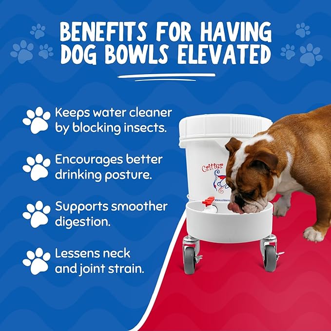 Gravity Water Bowl for Cats: Dogs & All Pets 3.5 Gallon. Top Fill Automatic Water Dispenser for Cat, Quiet, No BPA & Made in USA. Auto Water Dog Bowl for Daycares, Multi Pet Homes and Busy Parents