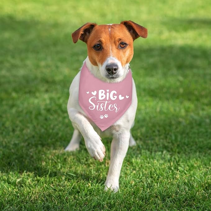 Big Sister Dog Bandanas Baby Announcement Pink Dogs Bandana for Small Medium Dogs Bandana Pregnancy Announcement Photo Prop Pet Scarf Accessories for Pet Dog Lovers Gifts