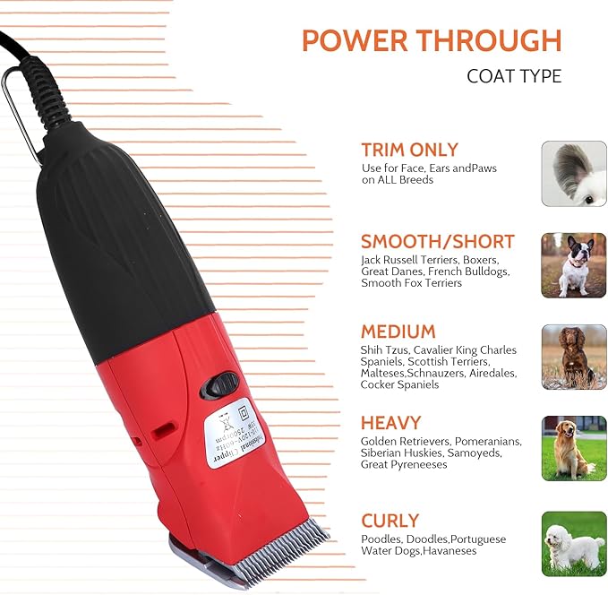 DUCKBOY 35W Pet Hair Clipper & Grooming Kit for Dogs and Cats – Includes 4 Interchangeable Blades & 3m Power Cable – Professional Trimmer for Small to Large Pets