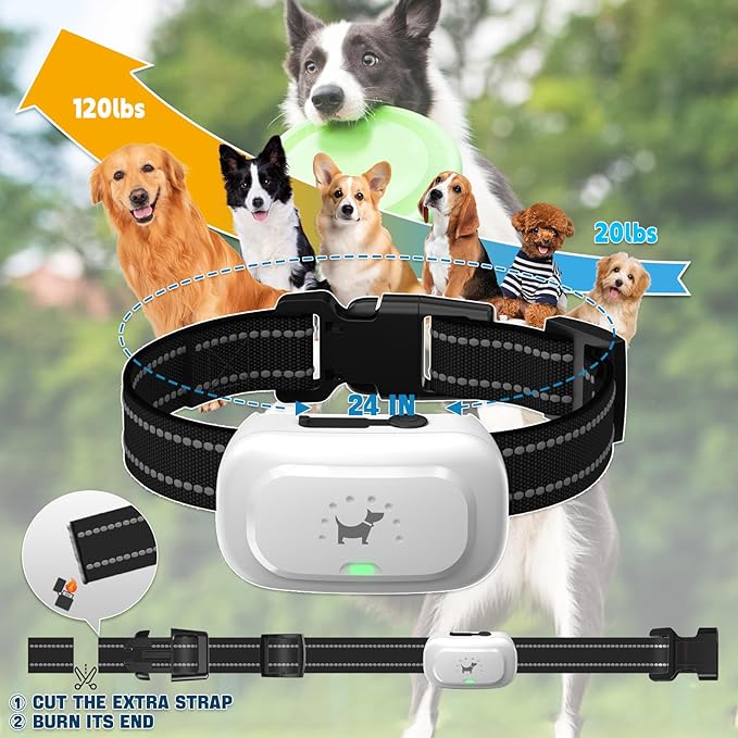 Dog Shock Collar with Remote - [2025 Newly Upgraded] Dog Training Collar for Small Medium Large Dogs, Rechargeable E Collars for Dogs Training, Waterproof Electric Collar with Shock-Lock