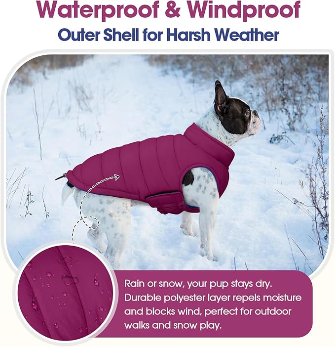 QBLEEV Reversible Dog Winter Coat, Warm Snowproof Dog Puffer Jacket for Large Dogs Cold Weather, Windproof Lightweight Padded Vest Snowsuit, 2-in-1 Adjustable Outdoor Clothes for Boxer, Violet, XXL