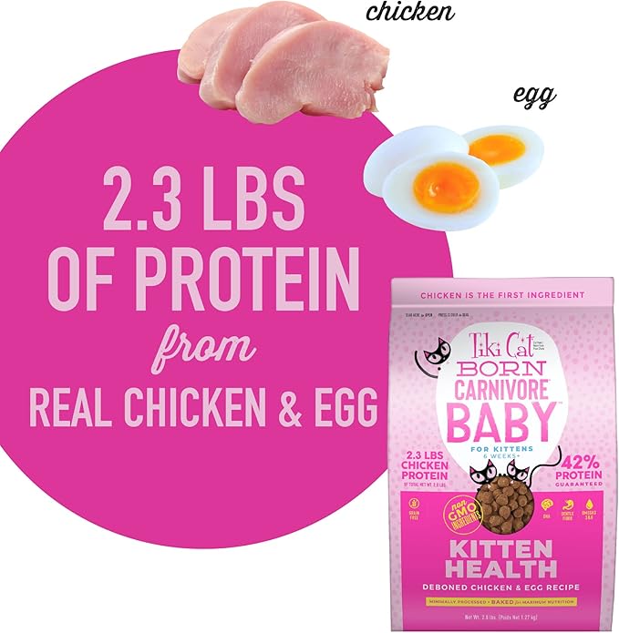 Tiki Cat Born Carnivore Baby Kitten Health Dry Cat Food, Deboned Chicken & Egg, 2.8 lbs. Bag