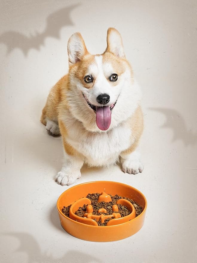 LE TAUCI Ceramic Puzzle Feeder Elevated 3 Cup with Wood Stand for Small Medium Dog & Puppy, Fast Eater Raised Dish Pumpkin Orange