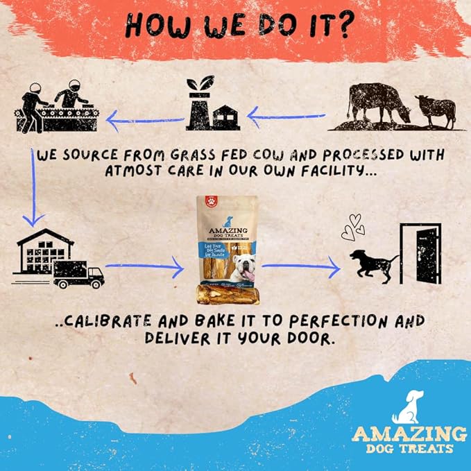 Amazing Dog Treats - 5-6 Inch Meaty Beef Marrow Bones- (30 Count) - Best Bones for Dogs - Long Lasting Dog Chew Bones - Filled Marrow Dog Bone