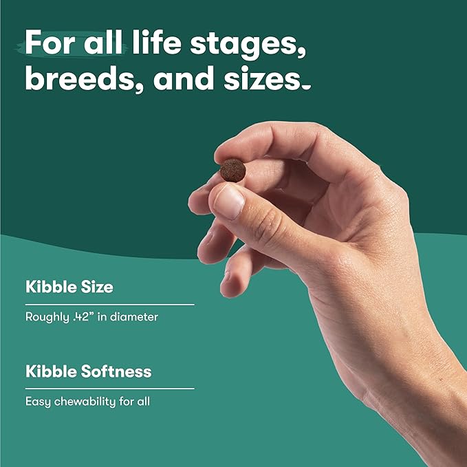 Jinx Premium Dry Dog Food, for All Lifestages - Real Salmon, Brown Rice & Sweet Potato Kibble with Superfoods for Immune Support & Probiotics for Digestive Support - No Fillers - 30lb