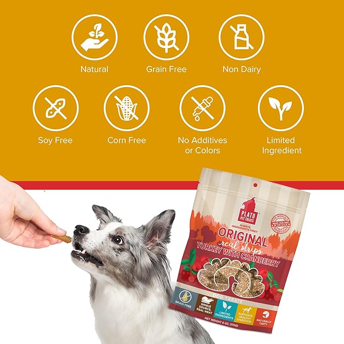 PLATO Turkey Real Strips Natural Dog Treats - Real Meat - Air Dried - Made in the USA - Turkey & Cranberry, 3 ounces