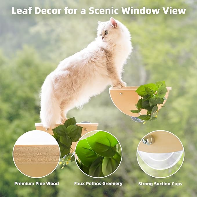 Meowoou 2PCS Cat Window Steps Shelf Suction Cups Climbing Stair Cats Perch Bed Durable Cat Seat for Window Sill Sturdy Step for Indoor Cats