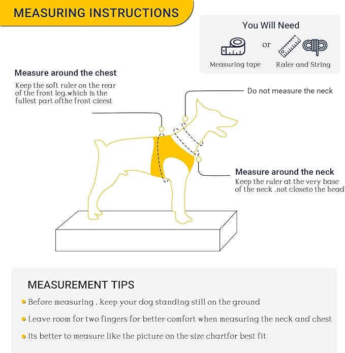 Dog Harness and Leash Set, Adjustable Dog Harness, Dog Leash, No Pull No Choke Puppy Harnesses for Walking Training for Small, Medium Pet (Lemon, S(Chest 13-19", Neck 9.5-13.1"))