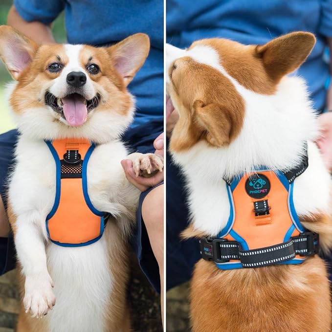 PHOEPET 2019 No Pull Dog Harnesses for Small Dogs Reflective Adjustable Front Clip Vest with Handle 2 Metal Rings 3 Buckles [Easy to Put on & Take Off] (XS, Orange)