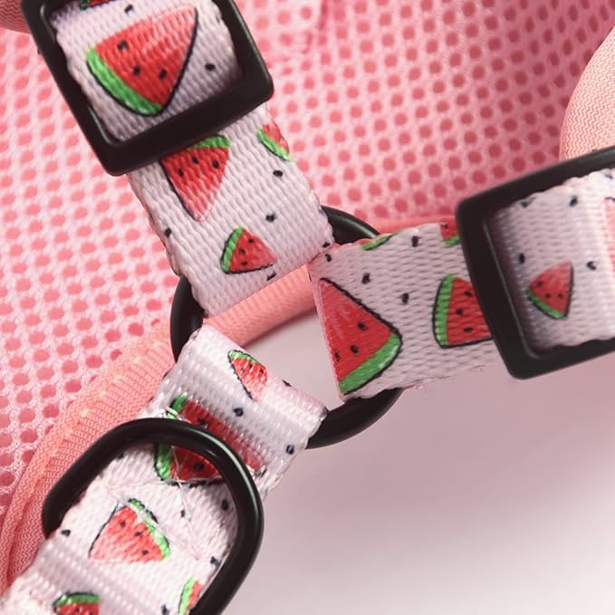 Dog Harness and Leash Set, Adjustable Dog Harness, Dog Leash, No Pull No Choke Puppy Harnesses for Walking Training for Small Medium Pet