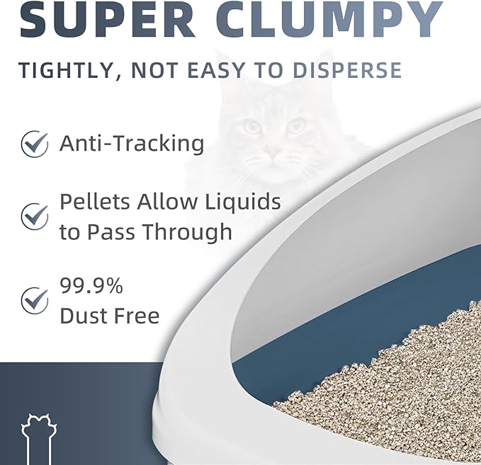 Natural Sodium-Based Raw Mineral Cat Litter | Dust-Free, Ultra Absorbent, Odor Control | Eco-Friendly, Low Tracking, Clumping Cat Litter 9.9LBS (9.9LBS_Platinum)