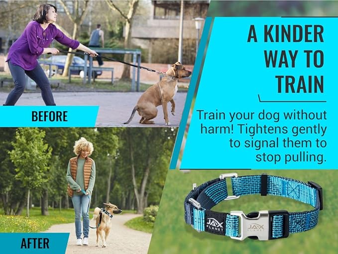 Orange Martingale Collar for Dogs - Heavy Duty Nylon Pet Collars for Escape-Free, No Pull Training & Walking with Alloy Metal Release Buckle & Reflective D Ring, One Time Adjustment, Safe & Secure, M