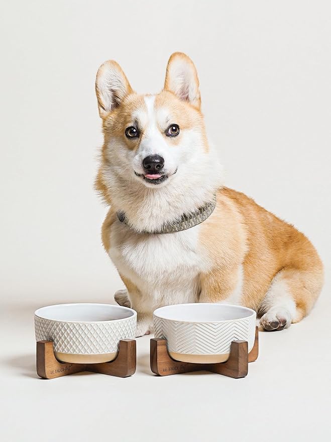 LE TAUCI PET Ceramic Dog Bowl Set, 4 Cups Food and Water Bowl for Medium Small Dogs, Cute Pet Dishes with Wood Stand, Rhombus+Wave Design (Set of 2)