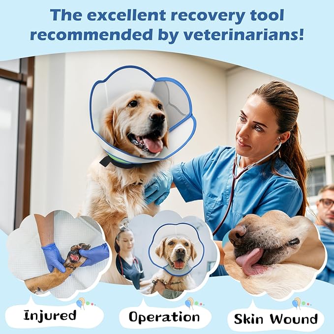 Hard & Heavy Plastic Dog Cone Collar Alternative for Small Dogs (Yorkshire Pomeranian), Pet Neck Head Protective Cone Anti-Lick, Adjustable Elizabethan Recovery Collar Cone of Shame for Healing