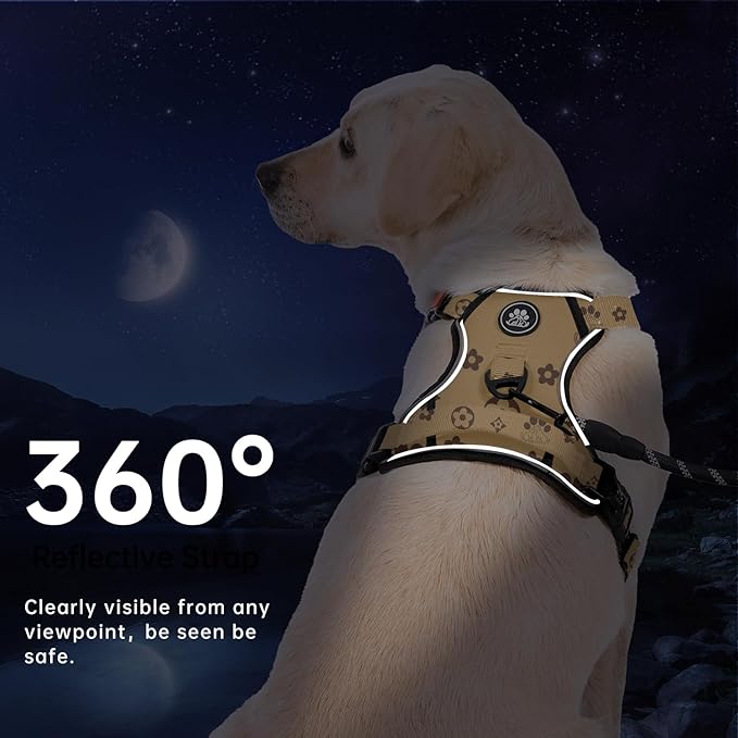 IVY&LANE No Pull Dog Harness with Leash Set, Reflective No Choke Pet Vest,Adjustable Oxford Dog Vest Harness with Easy Control Handle for Large Dogs (Light Brown,XL)