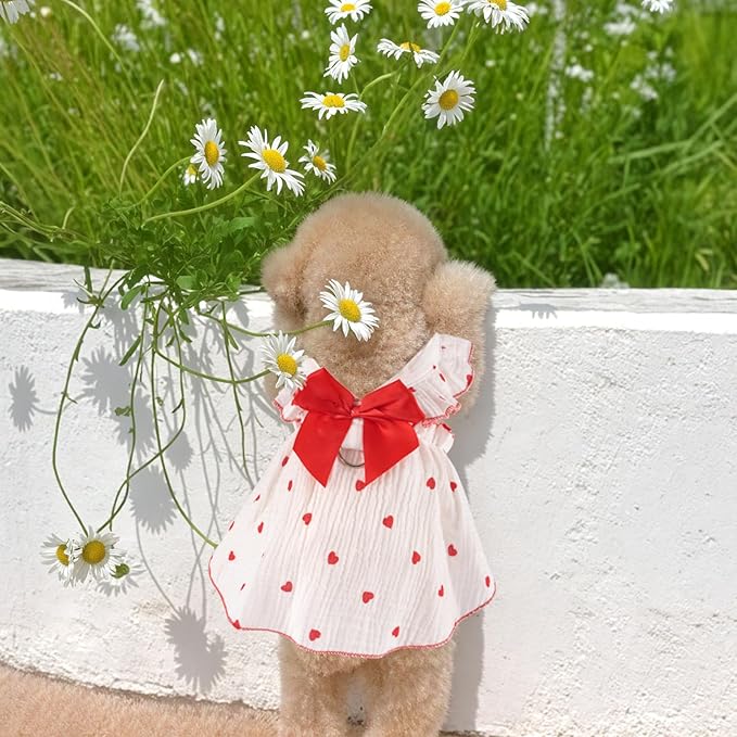 2 Pack Dog Dress Clothes for Small Dogs Girl with Leash Ring&Bows Puppy Cat Clothes Heart Print Cat Dog Outfit Dresses Ruffled Summer Pet Apparel Holiday Birthday Small