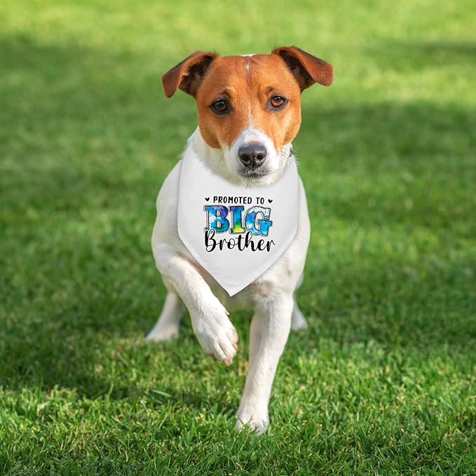 Promoted to Big Brother Baby Announcement Dogs Bandana Gender Reveal Dog Bandana Pregnancy Announcement Photo Prop Pet Scarf Accessories for Pet Dog Lovers Gifts - White