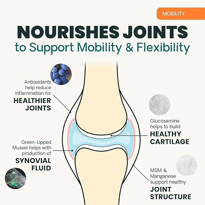 VetriScience Extra Strength Healthy Hip & Joint Chews, GlycoFlex Glucosamine and Green-Lipped Mussel Joint Support Supplement for Dogs, Promote Mobility & Soothe Joint Discomfort, Chicken, 60 Count