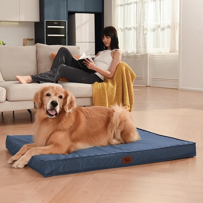 Orthopedic Dog Bed for Medium Dogs - Waterproof Outdoor Protection with Egg Crate Foam, Removable & Machine Washable Oxford Cover, 30x20 Inch, Navy