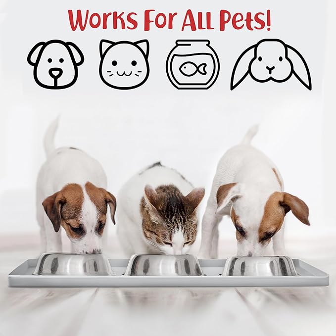 DogBuddy Dog Food Mat – Waterproof Dog Bowl Mat for Food and Water, Silicone Pet Feeding Mats for Floors, Non-Slip Placemat with High Edges for Dogs Bowls, Puppy Essentials (M: 21” x 14”, Mist)