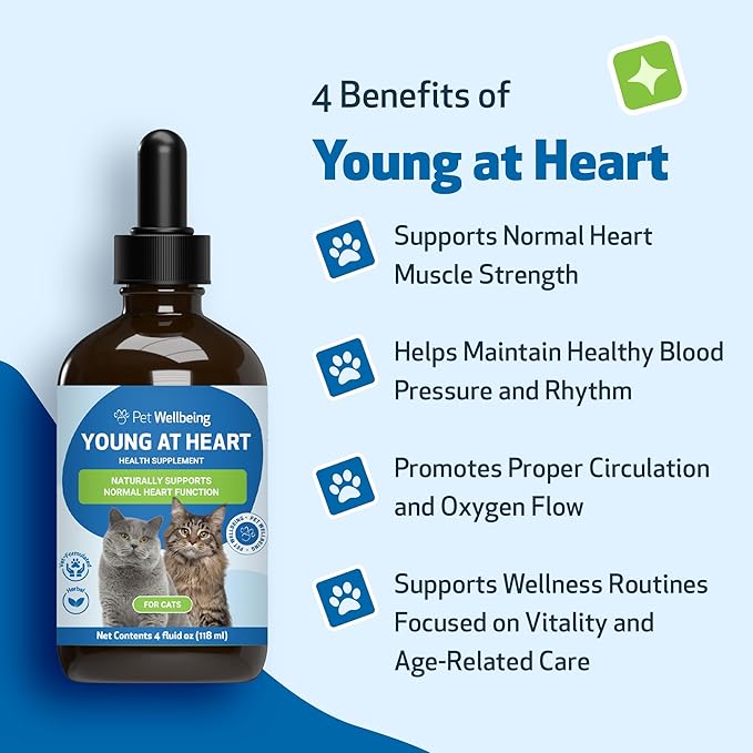 Pet Wellbeing Young at Heart for Cats - Vet-Formulated - Heart Health, Circulatory & Cardiovascular System, Hawthorn, Motherwort, Schisandra - Holistic Supplement 4 oz (118 ml)