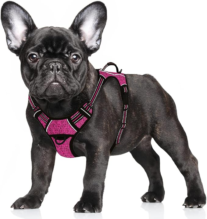 BARKBAY No Pull Dog Harness Large Reflective Dog Harness with Front Clip and Easy Control Handle for Walking Training Running with ID tag Pocket(Pink/Black,S)