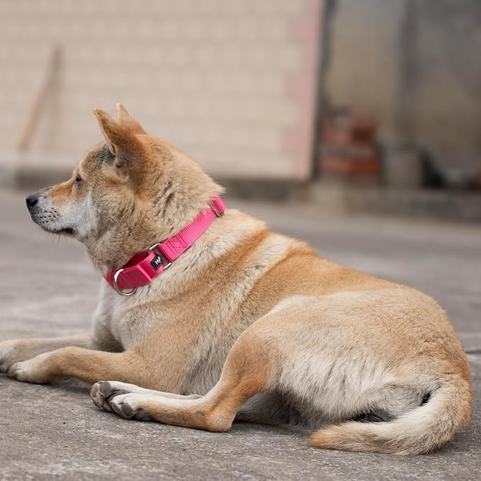 Hyhug Improved Design Nylon Webbing, Cold Water Washing Does Not Fade, Not Polluting Dog Hair, Wear Resistant and Not Prone to Fuzzing. No Slip Training Martingale Collar. (Candy Pink, Small)