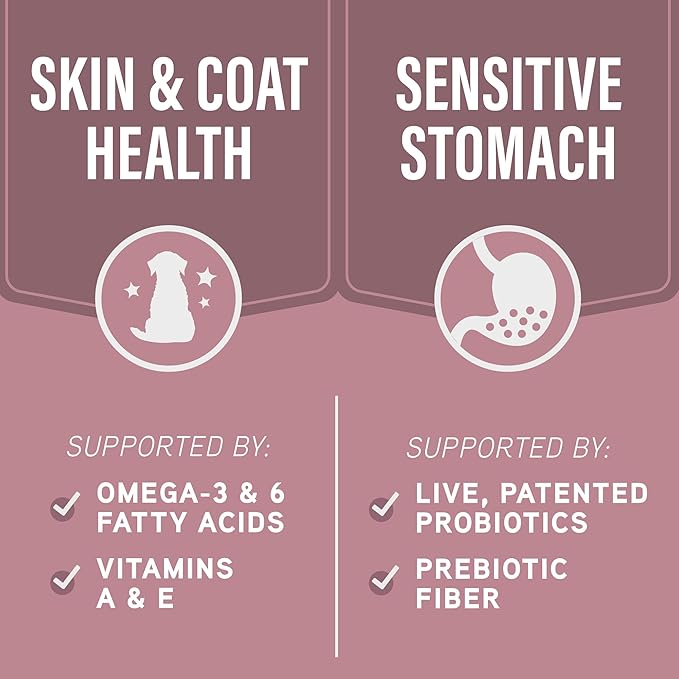 Natural Balance Specialized Nutrition Dry Dog Food with Salmon and Oatmeal for Dogs, Sensitive Skin & Stomach Dog Food, Natural Ingredients with Added Vitamins & Minerals - 3.5 lbs