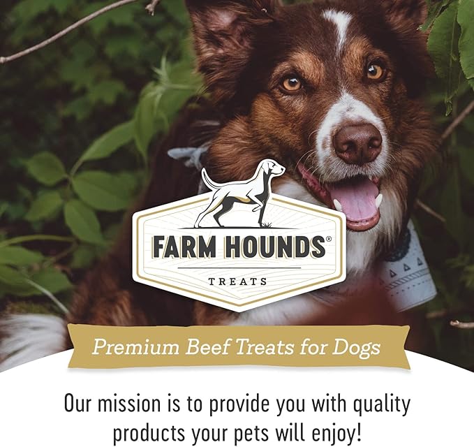 Farm Hounds - Beef Spleen - Premium Natural Beef Spleen Jerky For Dogs - Made From 100% Humanely Raised Cattle - Organ Treat - Great For Training & Treats - No Added Fillers - Made in USA -4oz -2 Pack