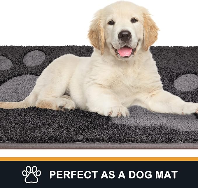 PURRUGS Dirt Trapping Door Mat 20" x 31.5", Non-Skid/Slip Machine Washable Microfiber Entryway Rug, Dog Doormat, Super Absorbent Welcome Mat for Muddy Wet Shoes and Paws, Charcoal