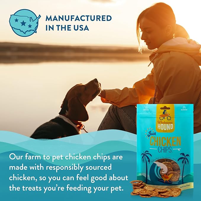 Just Chicken Chips | Single Premium Ingredient & Healthy Treats | All Natural Training Treats for Small, Medium, and Large Dog Breeds | Made in USA - 16oz