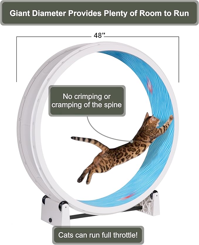 One Fast Cat - Cat Exercise Wheel - Gen. 7 - Safe 48" Diameter - Made in The USA - White Wheel with Koi Pond Foam Traction Pads and Solid Black Inline Wheels