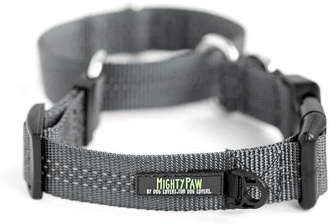 Mighty Paw Martingale Nylon Training Collar - Durable and Safe Choke Collar - Dog Collars Cinch for Controlled Training - Reflective Stitching for Dogs Safety - Grey - Large