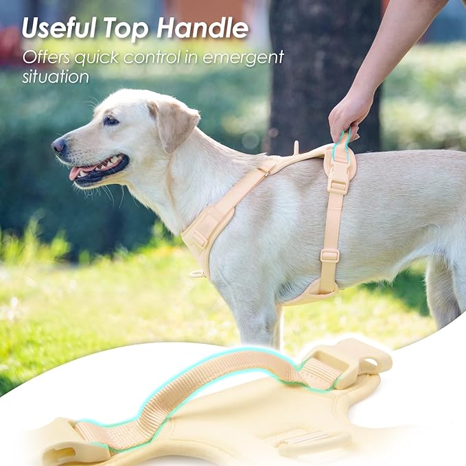No Pull Dog Harness, Puppy Vest with Front Clip for Small Medium Large Sized Dog(Light Yellow,S)