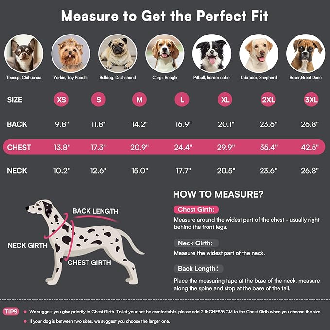 Queenmore Dog Coat,Windproof Dog Coat for Medium Dogs,Dogs Jackets with Harness Built in,Waterproof Doggy Coats with Zipper On Back,Reflective Cold Weather Coats for Dachshund,Boston Terrier,RoseRed,M