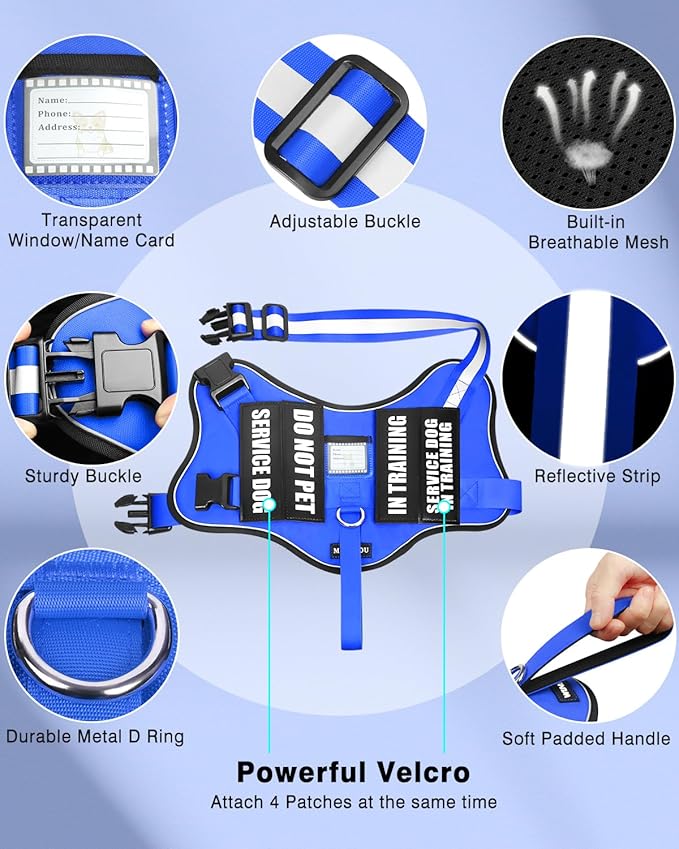 Service Dog Vest Harness and Leash Set+10 Patches for Puppy Small Dogs,Do Not Pet Emotional Support Dog Vest with 2 Soft Padded Handle for Everyday/Training (Blue XS)