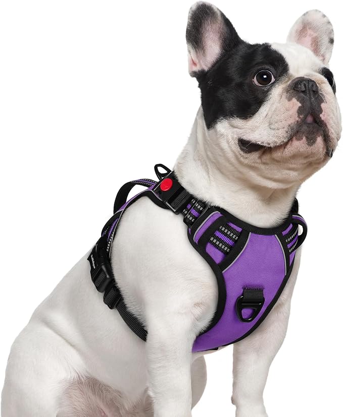 rabbitgoo Dog Harness Small Sized Dog, No Pull Pet Harness with Soft Padded Handle, Adjustable Reflective Vest with 3 Buckles, Easy Walking Harness with 2 Leash Clips, Purple, S